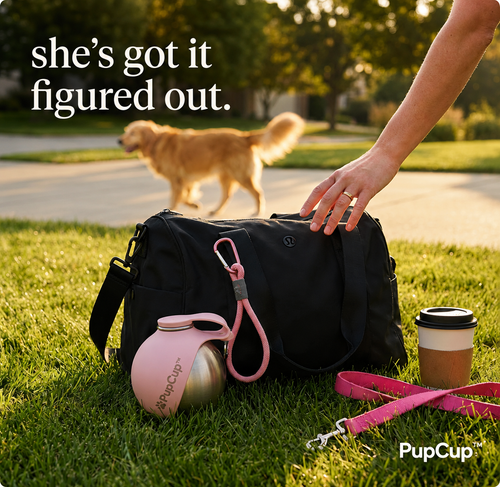 PupCup™ Adventure Water Bottle