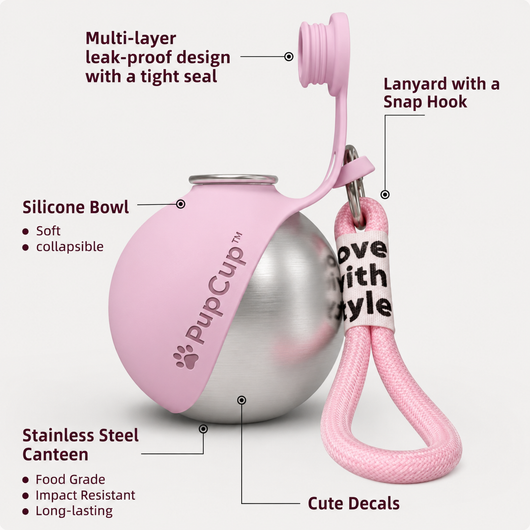 PupCup™ Adventure Water Bottle